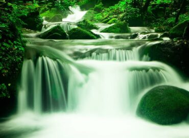 Brazilian Holistic Therapy