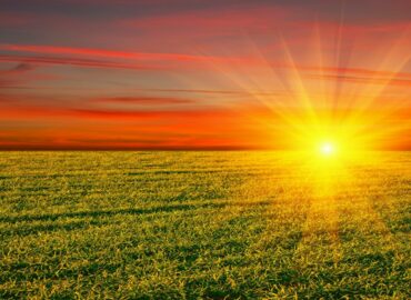 Seed of Light Spiritist Centre